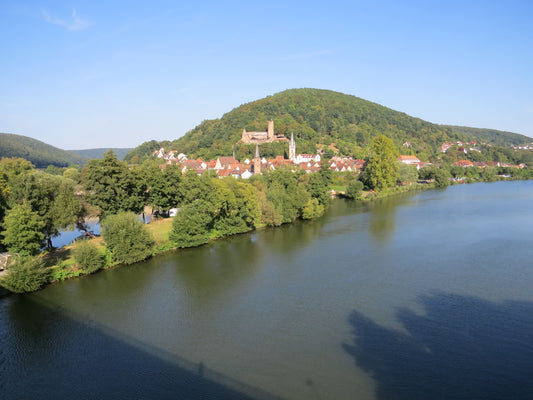 Grundbuchamt Gemünden