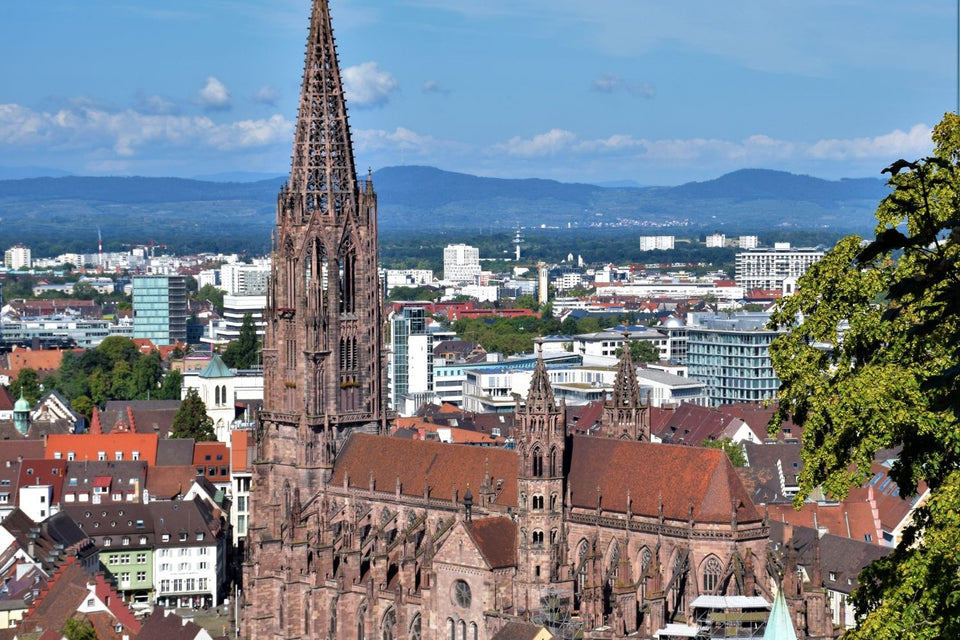Freiburger Münster über der Altstadt mit Schwarzwald im Hintergrund
