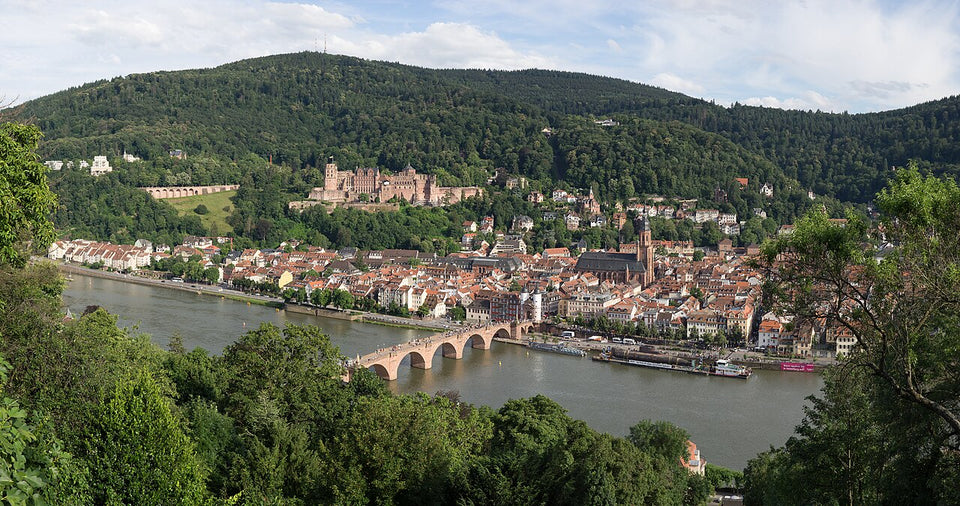 Heidelberger Altstadt mit Schloss und Alter Brücke